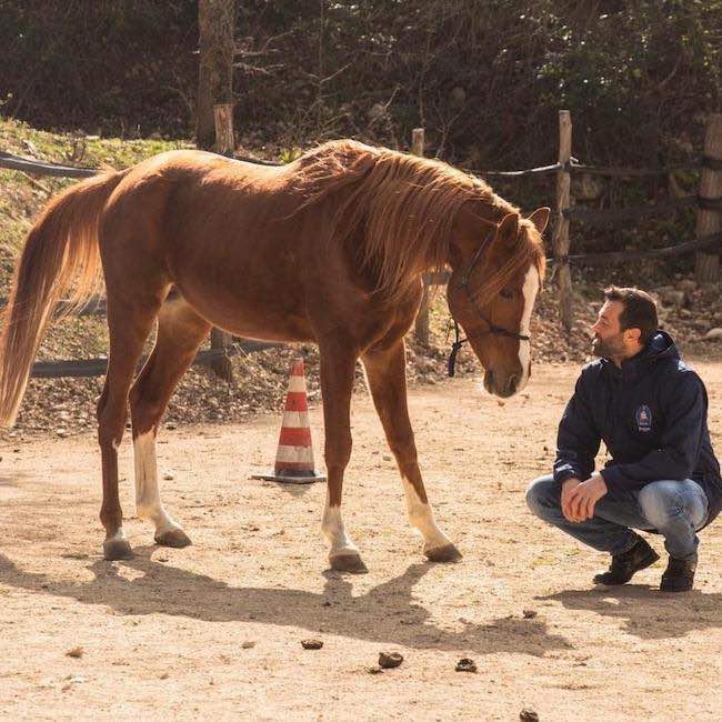 circolo ippico vittorito aq