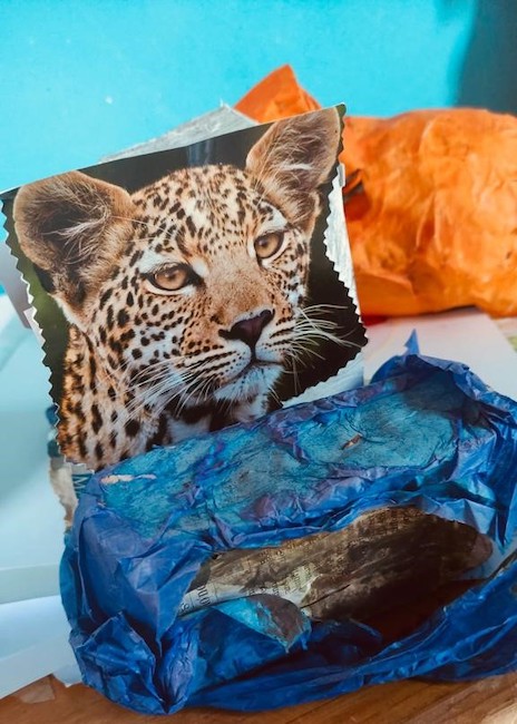 lavori mostra ospiti casa del sole