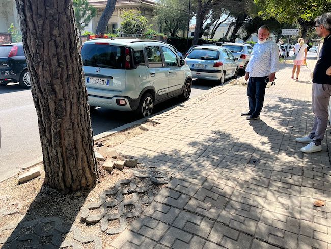 sopralluogo zona pineta