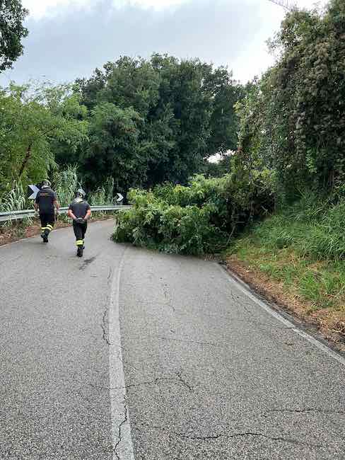 alberi caduti fossacesia