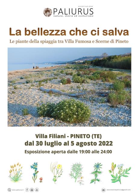 la bellezza che ci salva locandina