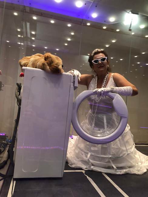 anna paola vellaccio