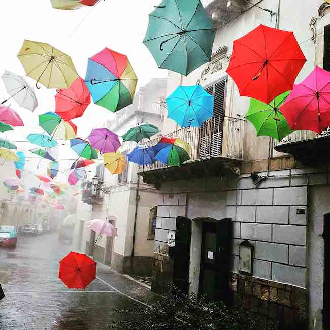 antonio di francescantonio 1 classificato