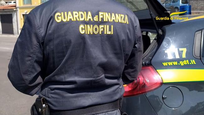 gdf cinofili