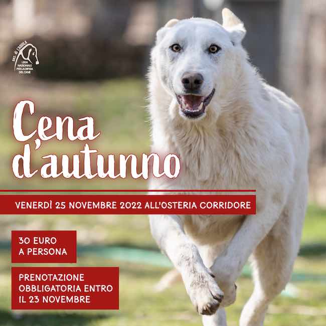 cena d'autunno lndc 25 novembre 2022