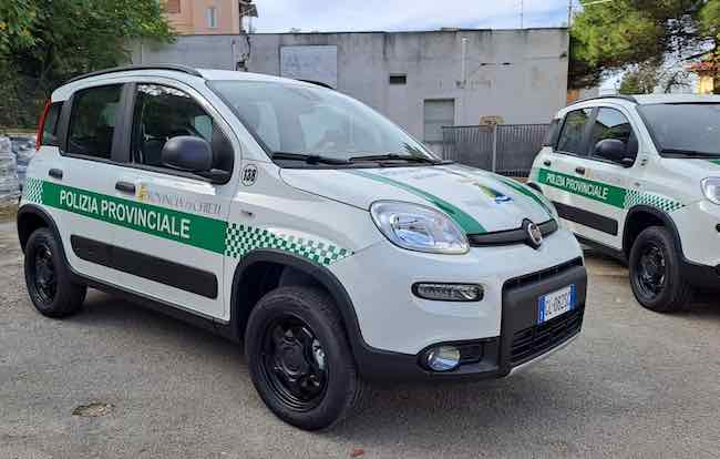 fiat panda 4x4 provincia chieti