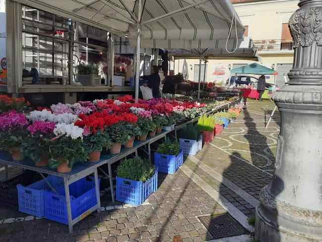 fiera di sant'andrea a luco dei marsi