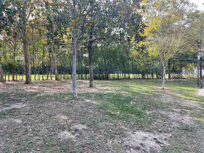 parco florida pescara