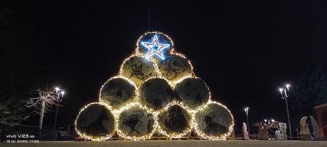 alberi balle fieno aielli