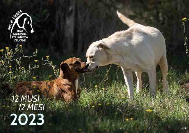 calendario lndc 2023