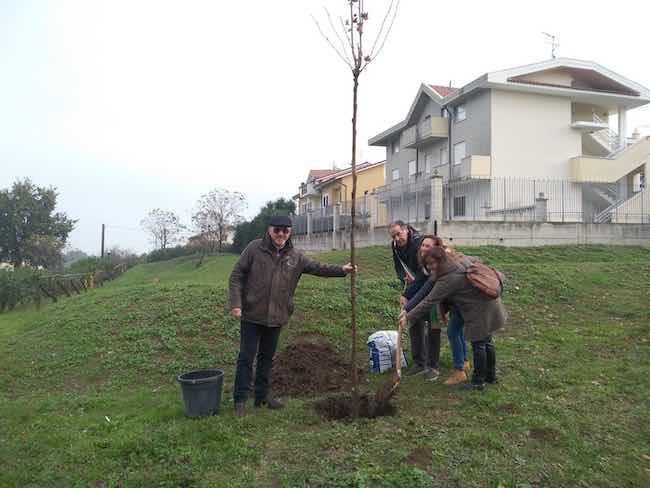 fossacesia festeggiati nuovi nati