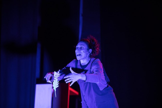 prezzemolina alice in viaggio