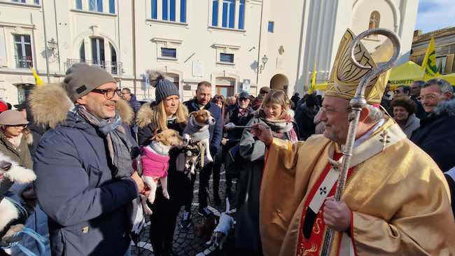 benedizione cagnolini