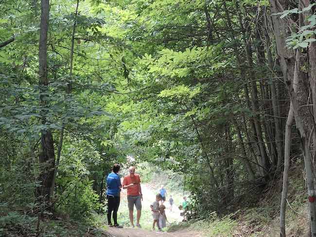 sentiero grande panchina