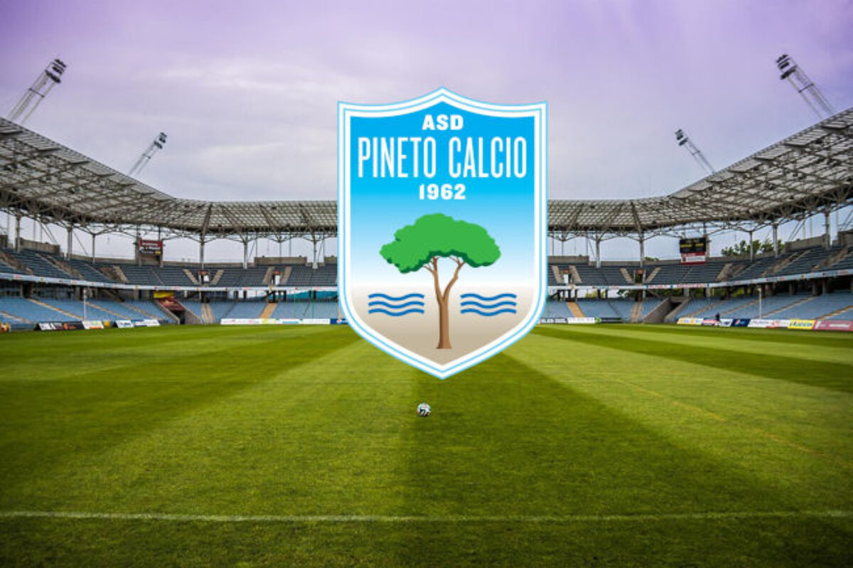 Stadio del Pineto durante la partita