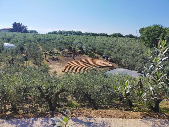 Teatro degli olivi