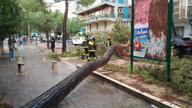vigili pino via margherita