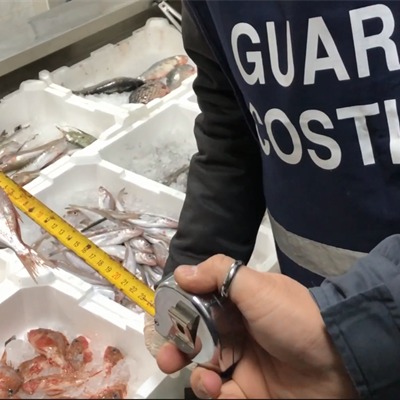 operazione spinnaker