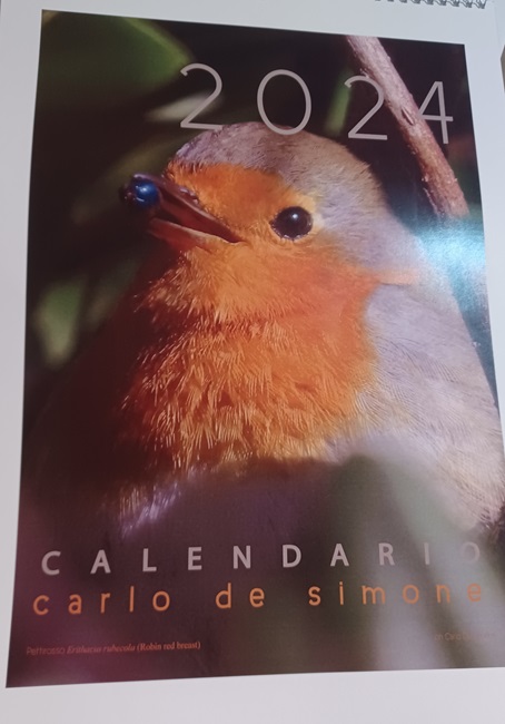 calendario fotografico