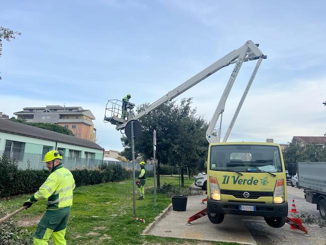 potatura montesilvano