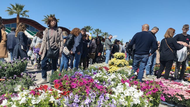 mostra del fiore
