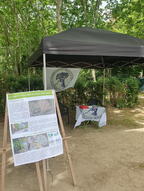 alberi donati parco della liberta