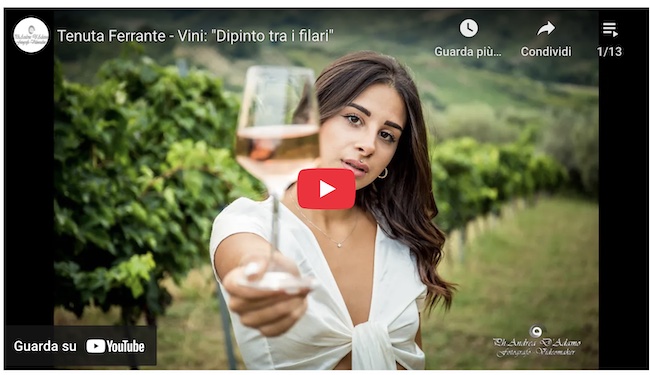 video aziendali professionali