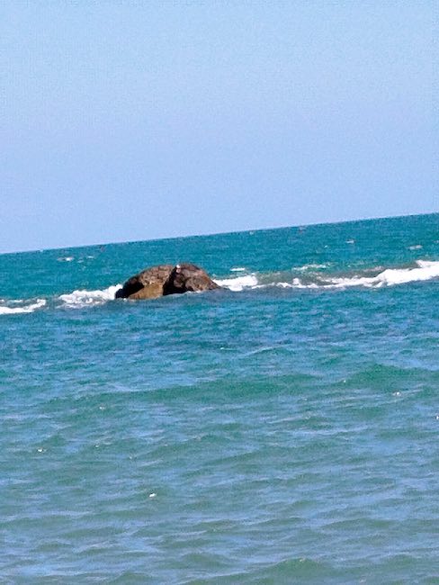 tratto di mare interessato