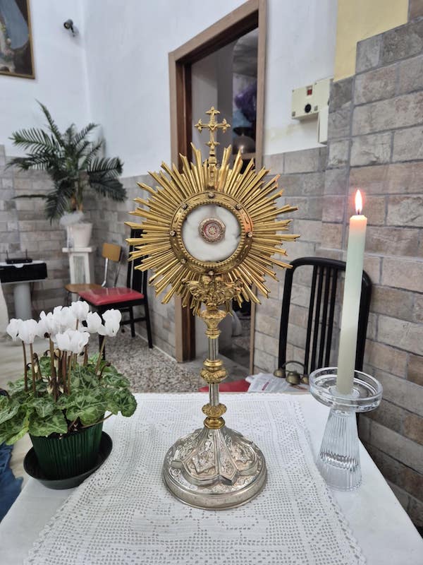 reliquia san carlo acutis