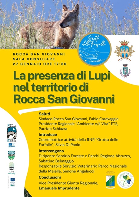 Incontro preenza di lupi sul territorio