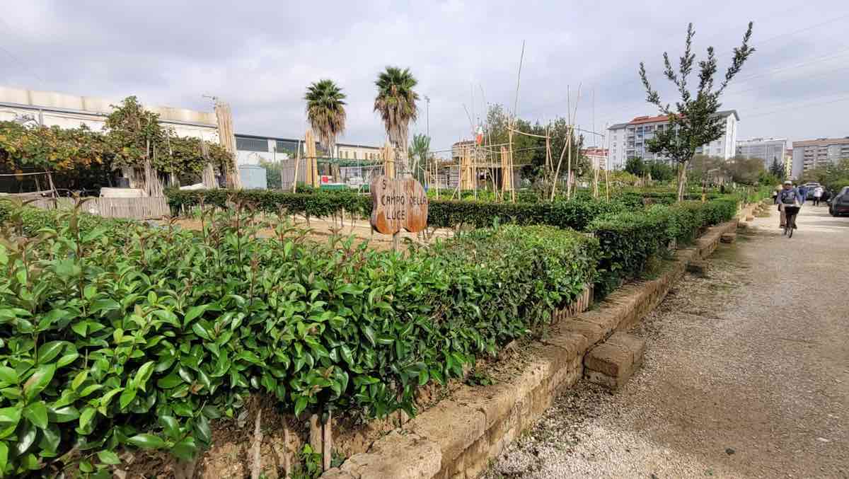 orti d'oro associazione allegrino