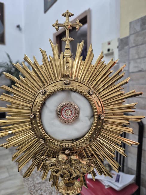 reliquia san carlo acutis