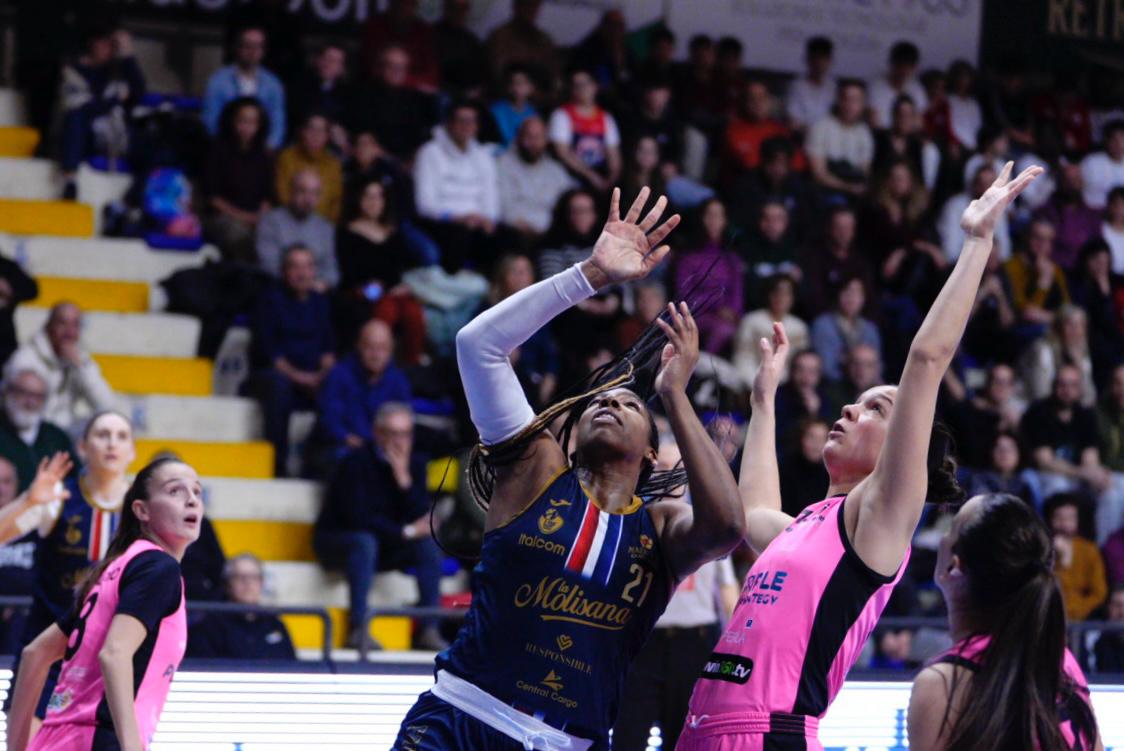 panthers roseto magnolia campobasso 8 febbraio 2026