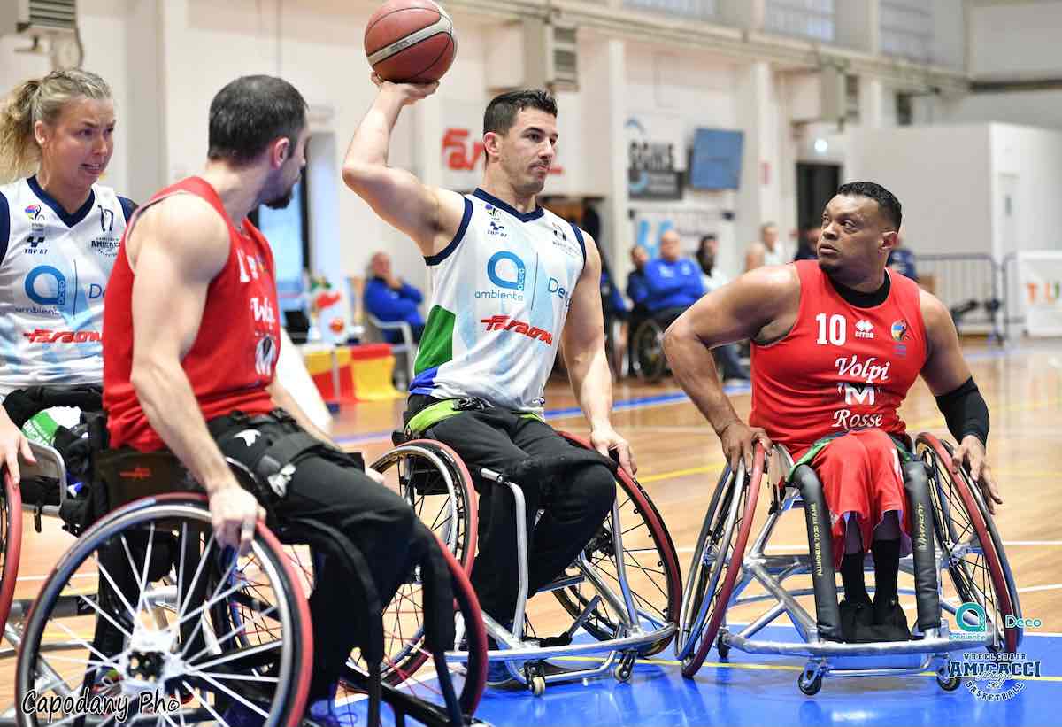 amicacci vs volpi rosse