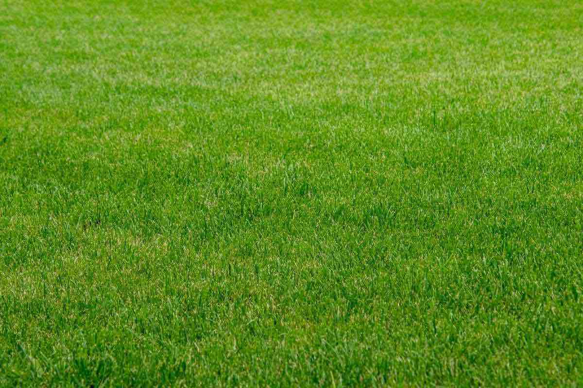 erbetta campo calcio