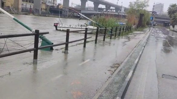 golena nord pescara golena nord pescara