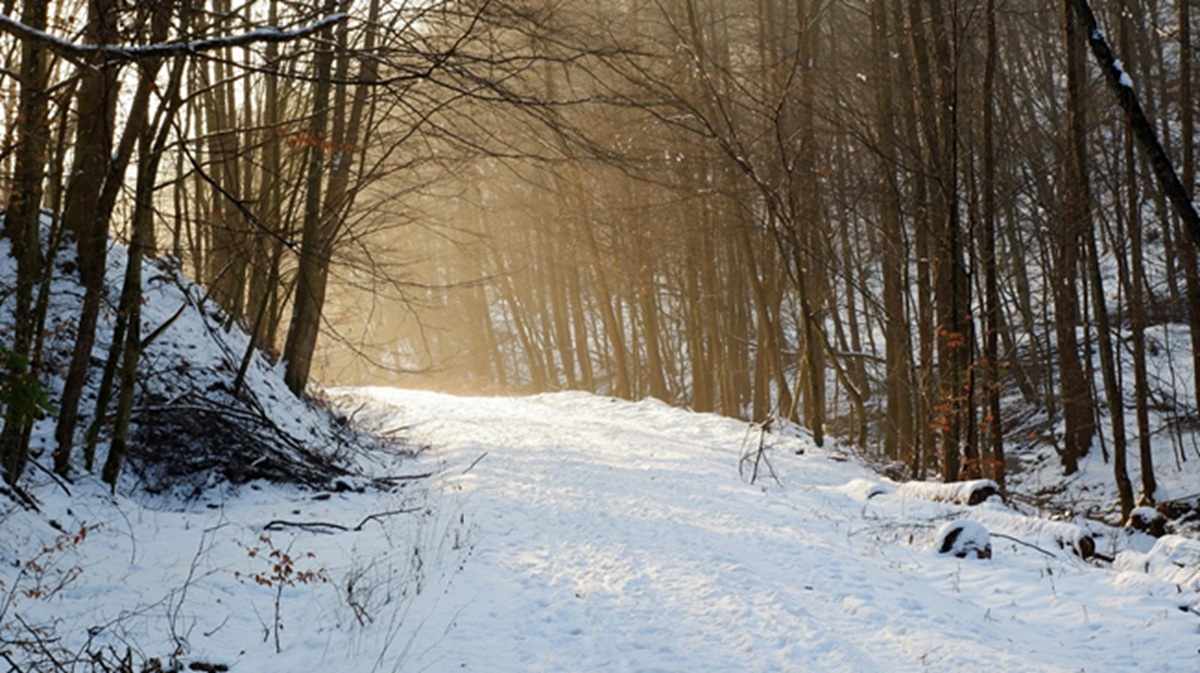 strada verso la Maielletta