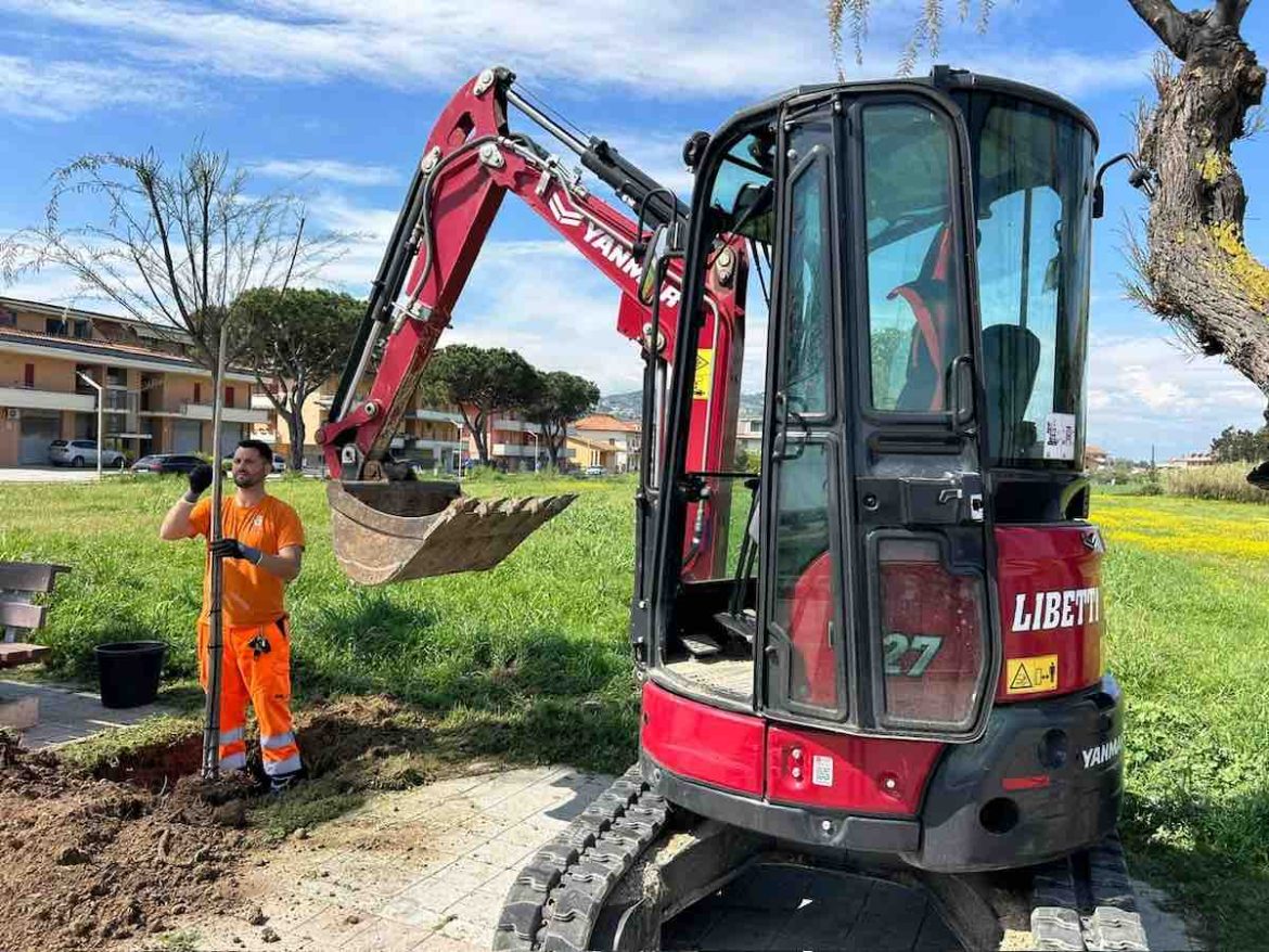 nuove piantumazioni martinsicuro