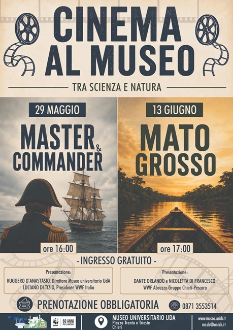 Locandina Cinema al Museo