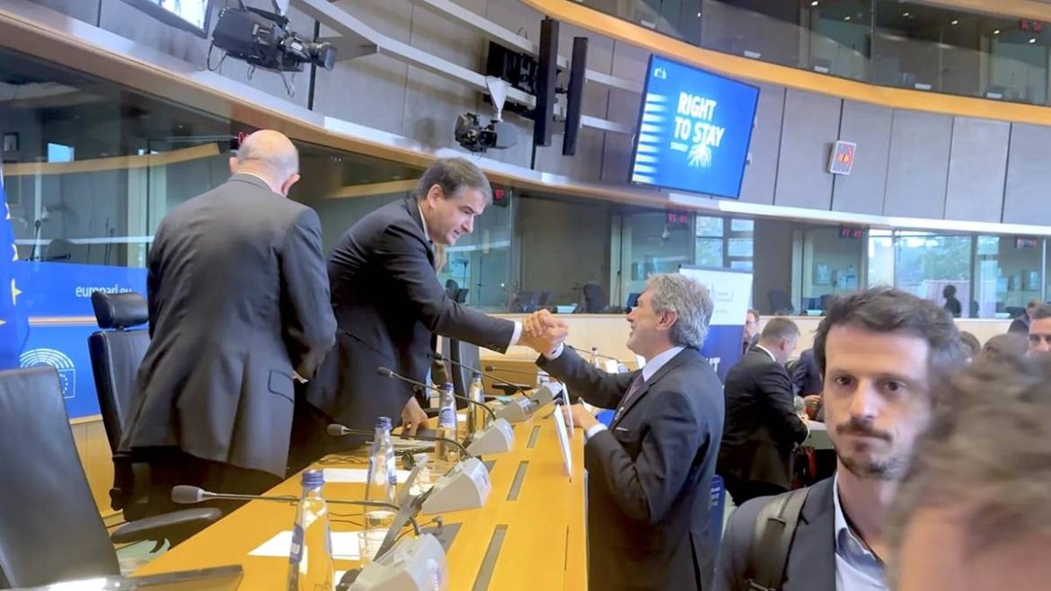 Marsilio Bruxelles