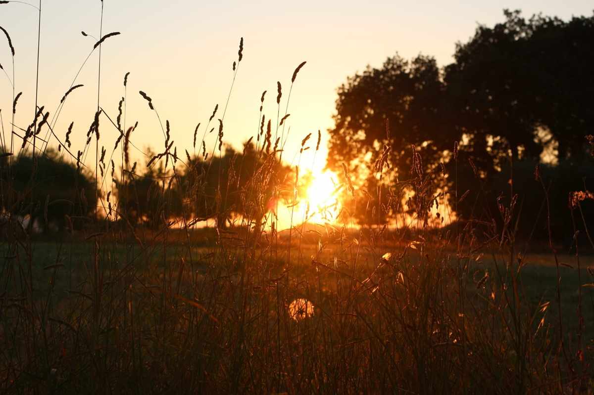 InCanto all'alba Nepezzano