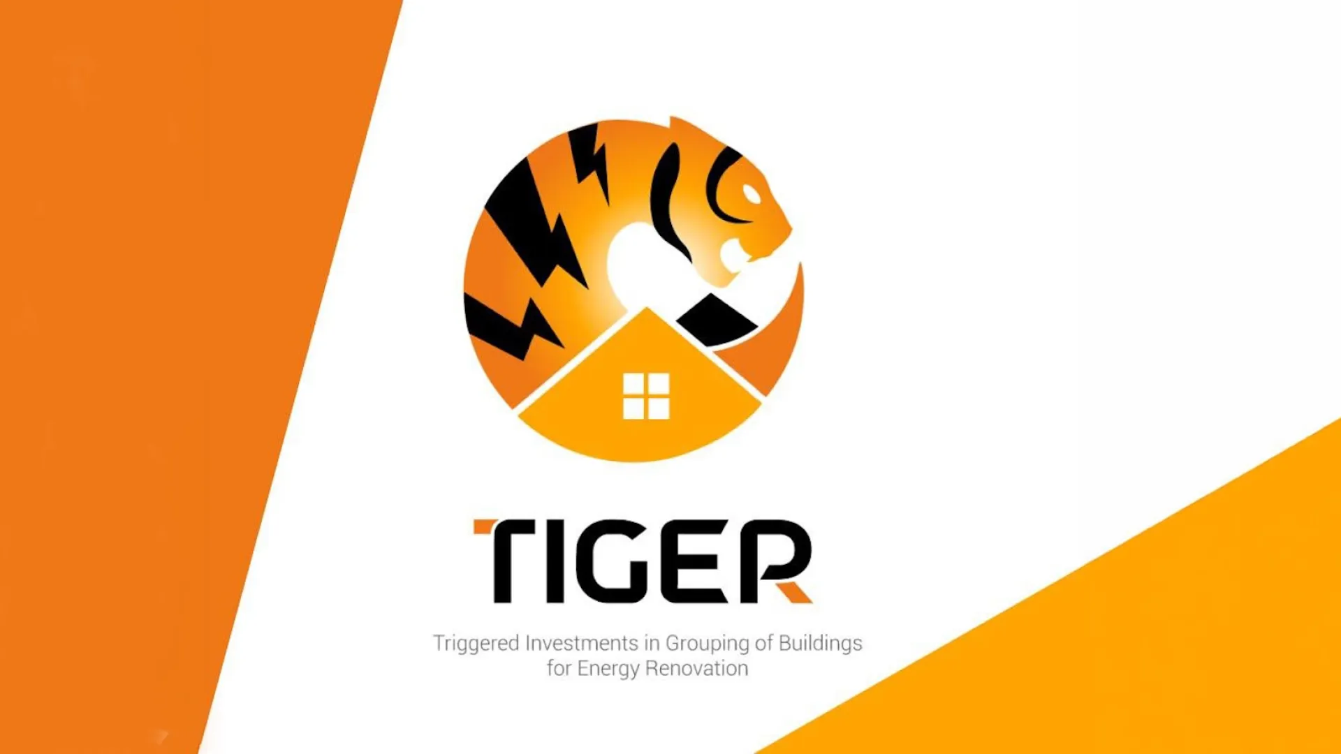 progetto Tiger