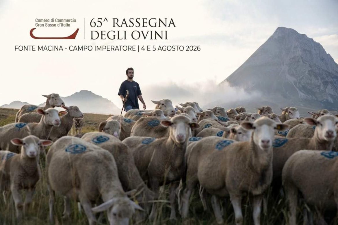 Rassegna degli ovini 2026