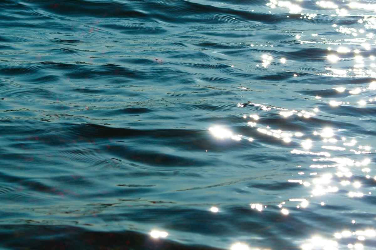mare