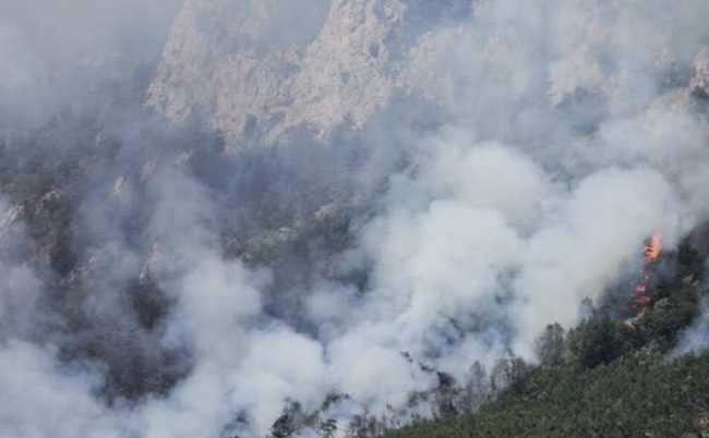 morrone in fiamme