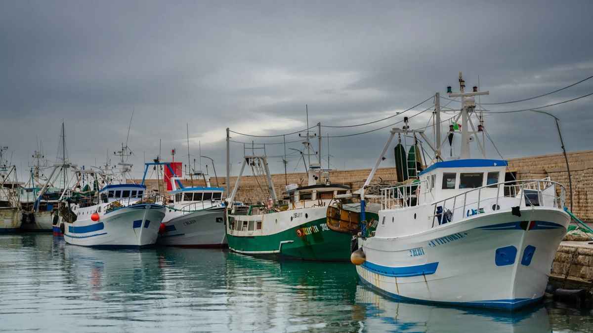 barche da pesca