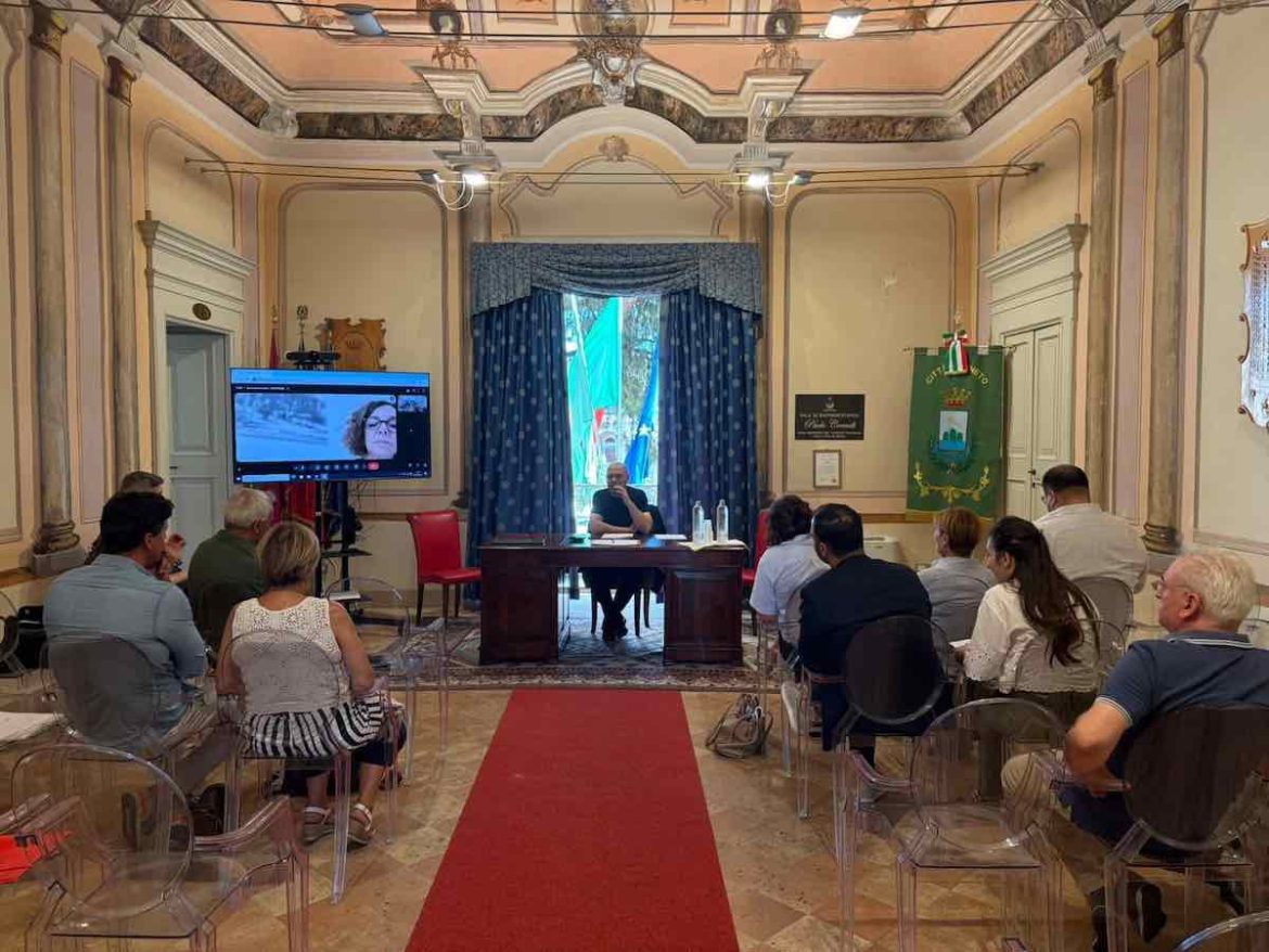 piano salute alberi pini