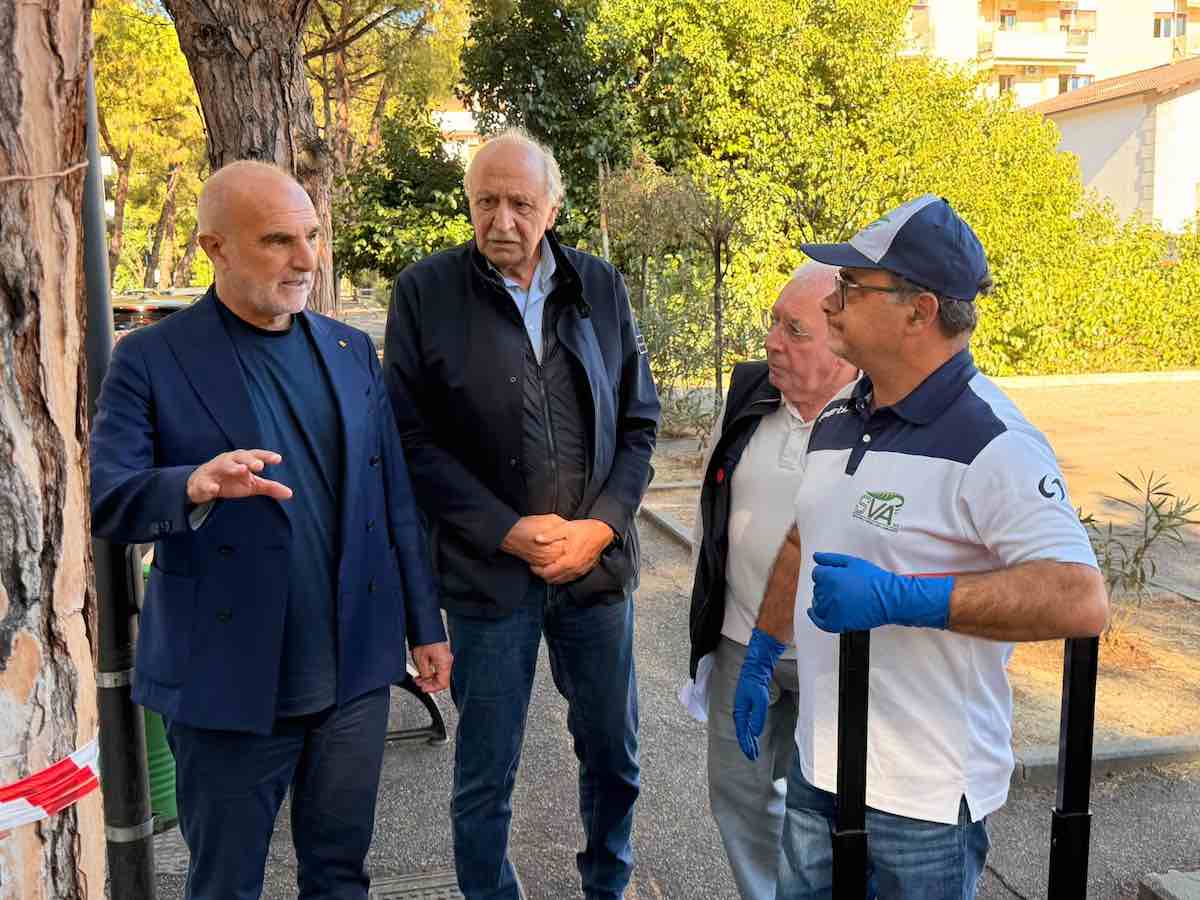 trattamento cocciniglia