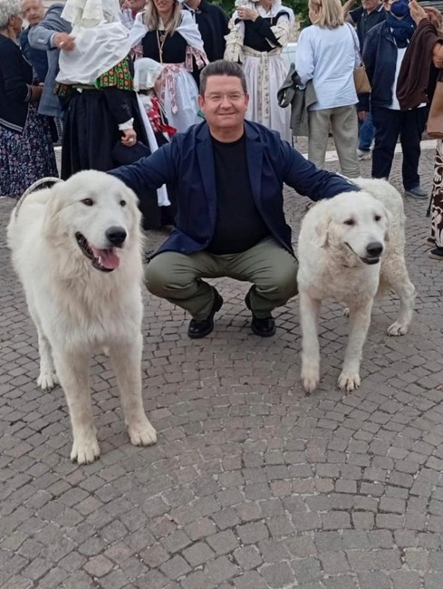 Cane da pastore abruzzese