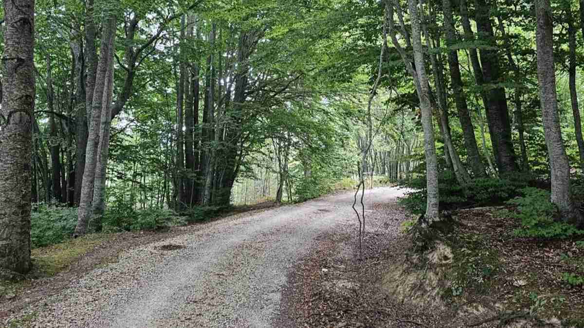 strada montana
